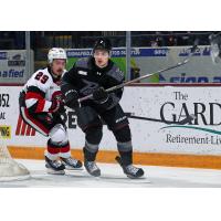 Peterborough Petes defenceman Genc Ula (right) vs. the Ottawa 67's