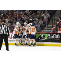 Greenville Swamp Rabbits gather after a goal