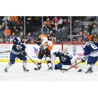 Worcester Railers battle the Reading Royals