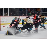 Rapid City Rush's Nathan Torchia and Étienne Morin battle Tahoe Knight Monsters' Casey Bailey