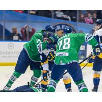 Florida Everblades get physical with the Norfolk Admirals