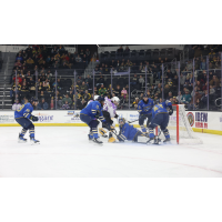 Springfield Thunderbirds goaltender Vadim Zherenko makes a stop against the Providence Bruins
