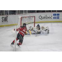 Drummondville Voltigeurs left wing Jesse Allecia fires a shot against the Victoriaville Tigres