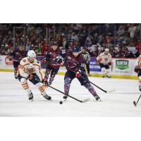 Greenville Swamp Rabbits forward Ryan O'Hara (left) vs. the South Carolina Stingrays