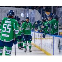 Florida Everblades forward Ben Brar is all smiles