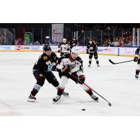 Vancouver Giants defenceman Marek Howell (right) vs. the Portland Winterhawks