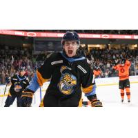 Toledo Walleye forward Tanner Dickinson