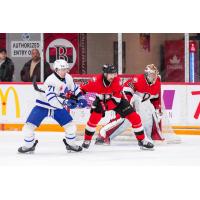 Belleville Senators goaltender Mads Søgaard and defenceman Cameron Crotty