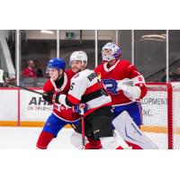 Belleville Senators centre Wyatt Bongiovanni vs. the Laval Rocket