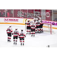 Belleville Senators celebrate a win