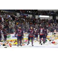 South Carolina Stingrays annual Teddy Bear Toss