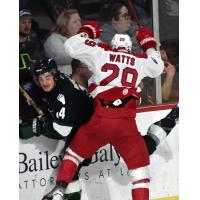 Allen Americans right wing Brayden Watts