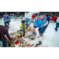 Springfield Thunderbirds Teddy Bear Toss
