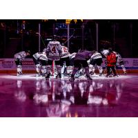 Red Deer Rebels on the ice