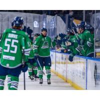 Florida Everblades forward Ben Brar
