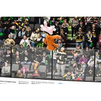 Wheeling Nailers Teddy Bear Toss