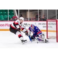 Belleville Senators centre Jan Jeník shoots against the Rochester Americans