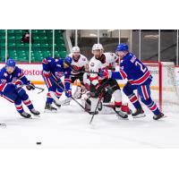 Belleville Senators battle the Rochester Americans