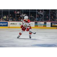 Grand Rapids Griffins defenseman Erik Gustafsson