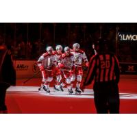 Grand Rapids Griffins gather following a goal