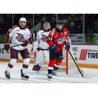 Peterborough Petes defenceman James Petrovski and goaltender Easton Rye vs. the Windsor Spitfires