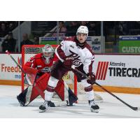 Peterborough Petes centre Aidan Young vs. the Windsor Spitfires
