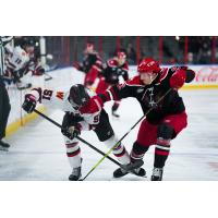 Allen Americans defenseman Anthony Costantini (right) vs. the Rapid City Rush