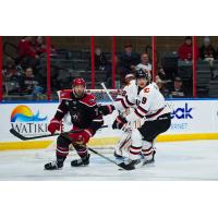 Allen Americans forward Colton Hargrove vs. the Rapid City Rush