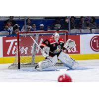Grand Rapids Griffins goaltender Dustin Tokarski