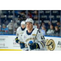 Springfield Thunderbirds forward Aleksanteri Kaskimaki