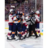 Greenville Swamp Rabbits battle the South Carolina Stingrays