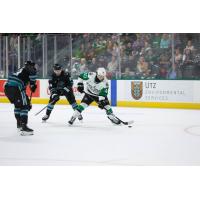 San Jose Barracuda's Oliver Wahlstrom versus Texas Stars' Antonio Stranges