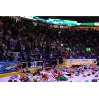 Florida Everblades Teddy Bear Toss Night