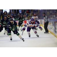 Florida Everblades forwqard Ryan Naumovski (left) vs. the Orlando Solar Bears
