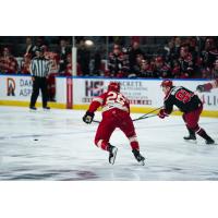 Allen Americans left wing Colby McAuley (right) races for the puck vs. the Rapid City Rush