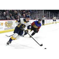 Norfolk Admirals' David Drake in action