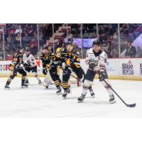 Wheeling Nailers and the Adirondack Thunder on game night
