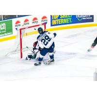 Worcester Railers' Cole Donhauser battles Maine Mariners' Brad Arvanitis