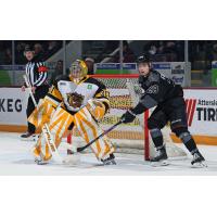 Brantford Bulldogs' Ryerson Leenders and Peterborough Petes' Brennan Faulkner