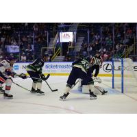 Florida Everblades Battle The Orlando Solar Bears