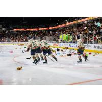 Greenville Swamp Rabbits on Teddy Bear Toss Night