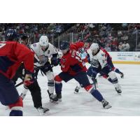 South Carolina Stingrays battle the Jacksonville Icemen