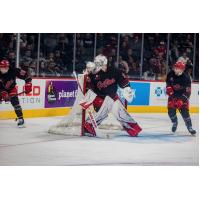 Grand Rapids Griffins' 	Ian Mitchell, Sebastian Cossa, and Ondřej Becher on game night