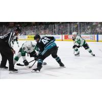 Texas Stars' Arttu Hyry versus San Jose Barracuda's Jimmy Huntington