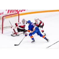 Belleville Senators goaltender Jackson Parsons vs. the Bridgeport Islanders