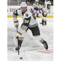 Henderson Silver Knights forward Trevor Connelly