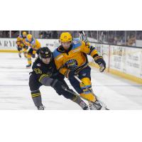 Toledo Walleye forward Jordan Ernst (right)