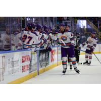 Orlando Solar Bears exchange congratulations along the bench