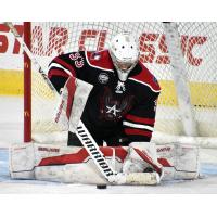 Allen Americans goaltender Marco Costantini