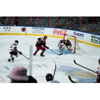 Allen Americans defenseman Quinn Warmuth and goaltender Marco Marco Costantini vs. the Rapid City Rush